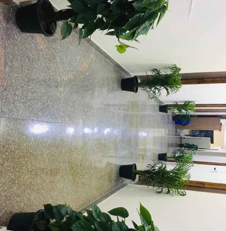 20 Beds 18 Baths – House