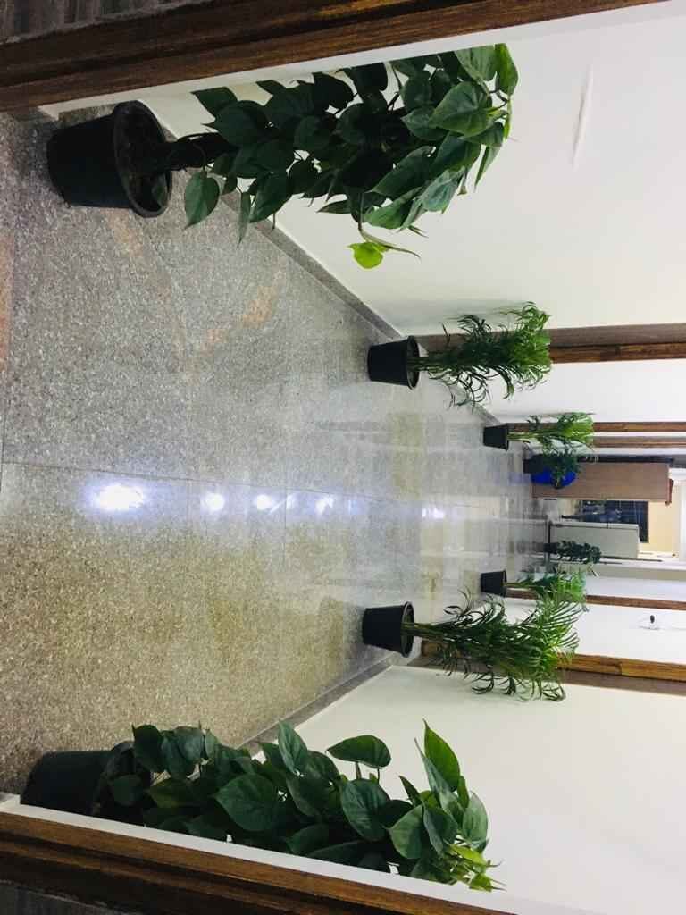 20 Beds 18 Baths – House