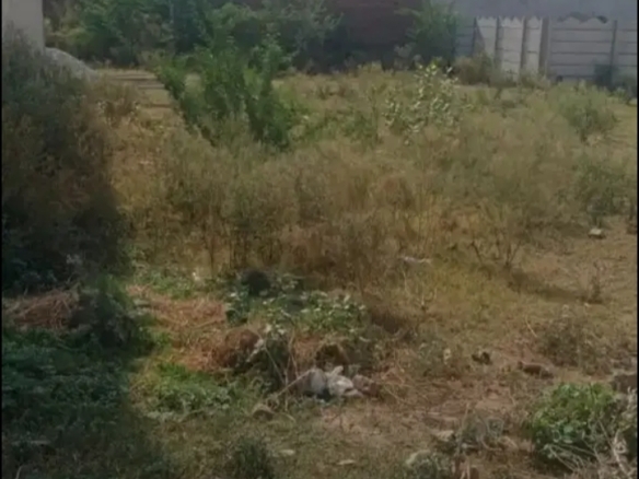 220sqft, Plot for Sale in Ajay Nagar