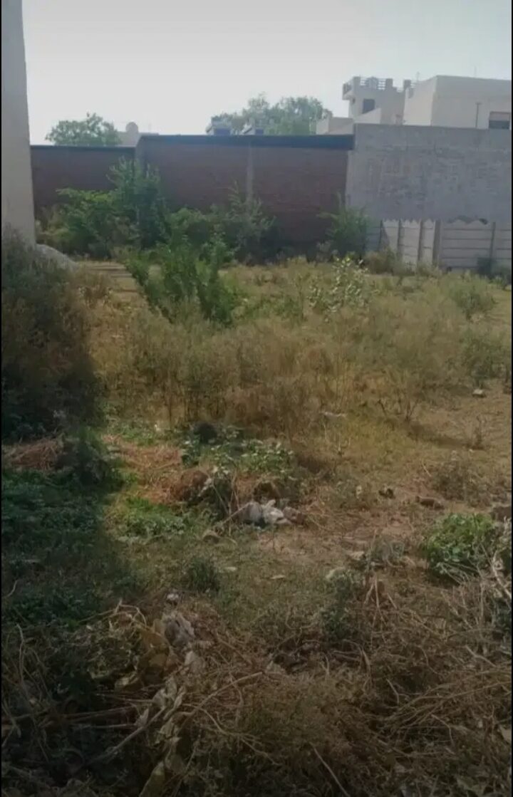 Screenshot_20230219_173046_OLX India 220sqft, Plot for Sale in Ajay Nagar