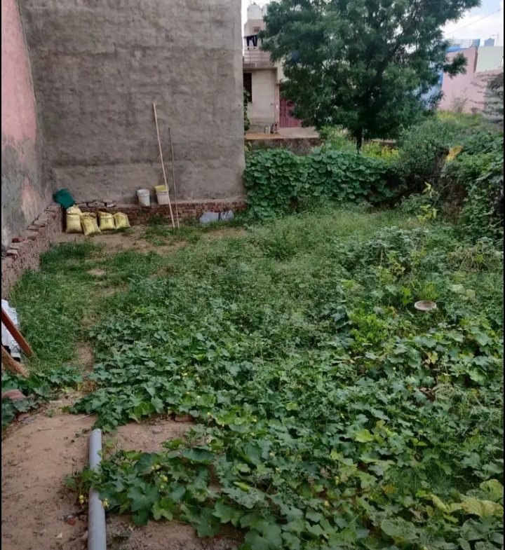 1875sqft plot for sale in Rao Tularam Vihar