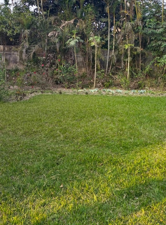 BAGAN BARI/ BUNGALOW for Sale in Kolkata