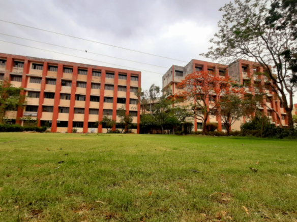 Land for Sale in Farah District