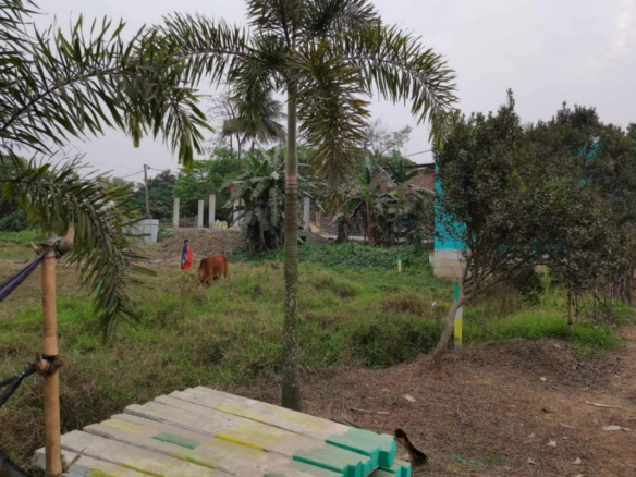 Plot Including Bungalow for Sale in Kolkata