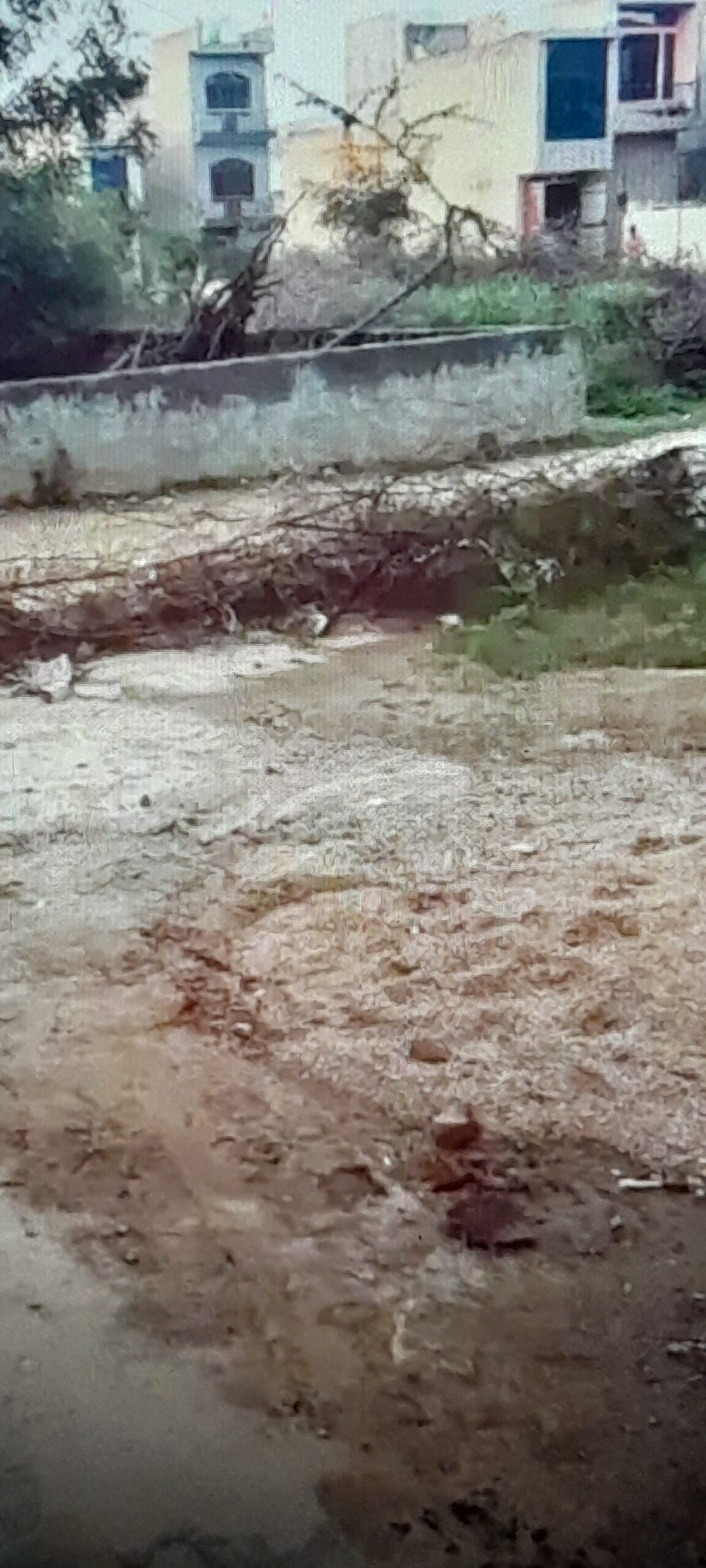 16804665220433353604257162500308 2 side open Plot for Sale in Kamla Nagar, Rewari.
