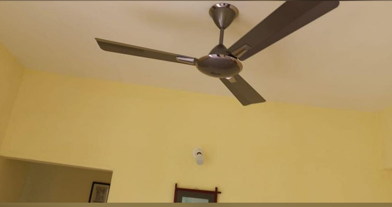 2 BHK Flat for Rent in Kolkata