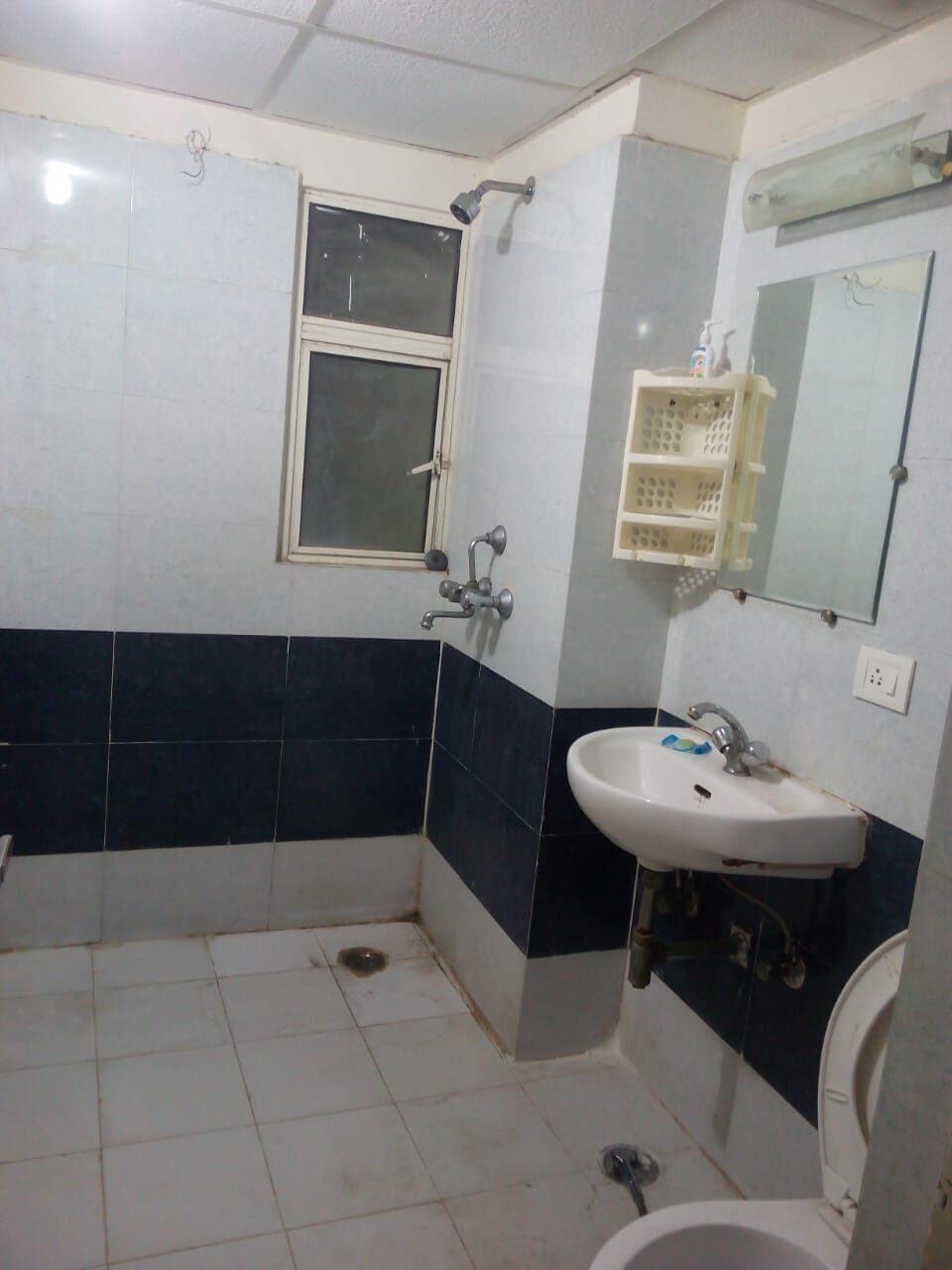 m6 M G Real Estate 3 Beds 2 Baths Ready to Move House for Sale in Noida