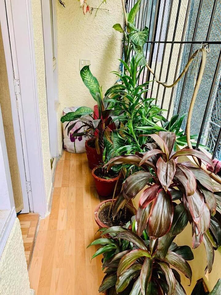 1 Room set for rent in 2 beds fully furnished room in CR Park, Delhi