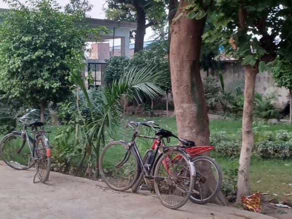 Farm house for sale in jalandhar punjab 250 sqyrd