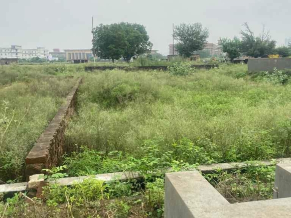 Authority Plots & Free hold plots for Sale in Greater Noida