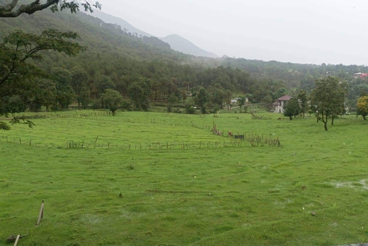 50 kanal for sale in Palampur, HP