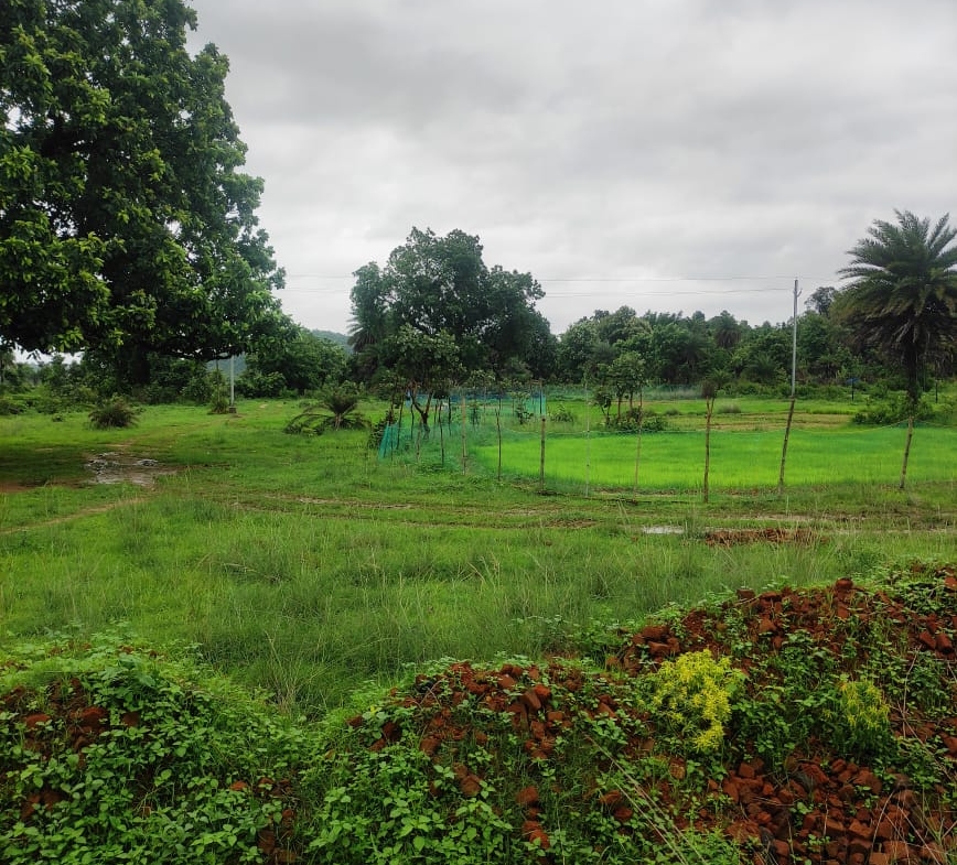 SC Plot for Sale
