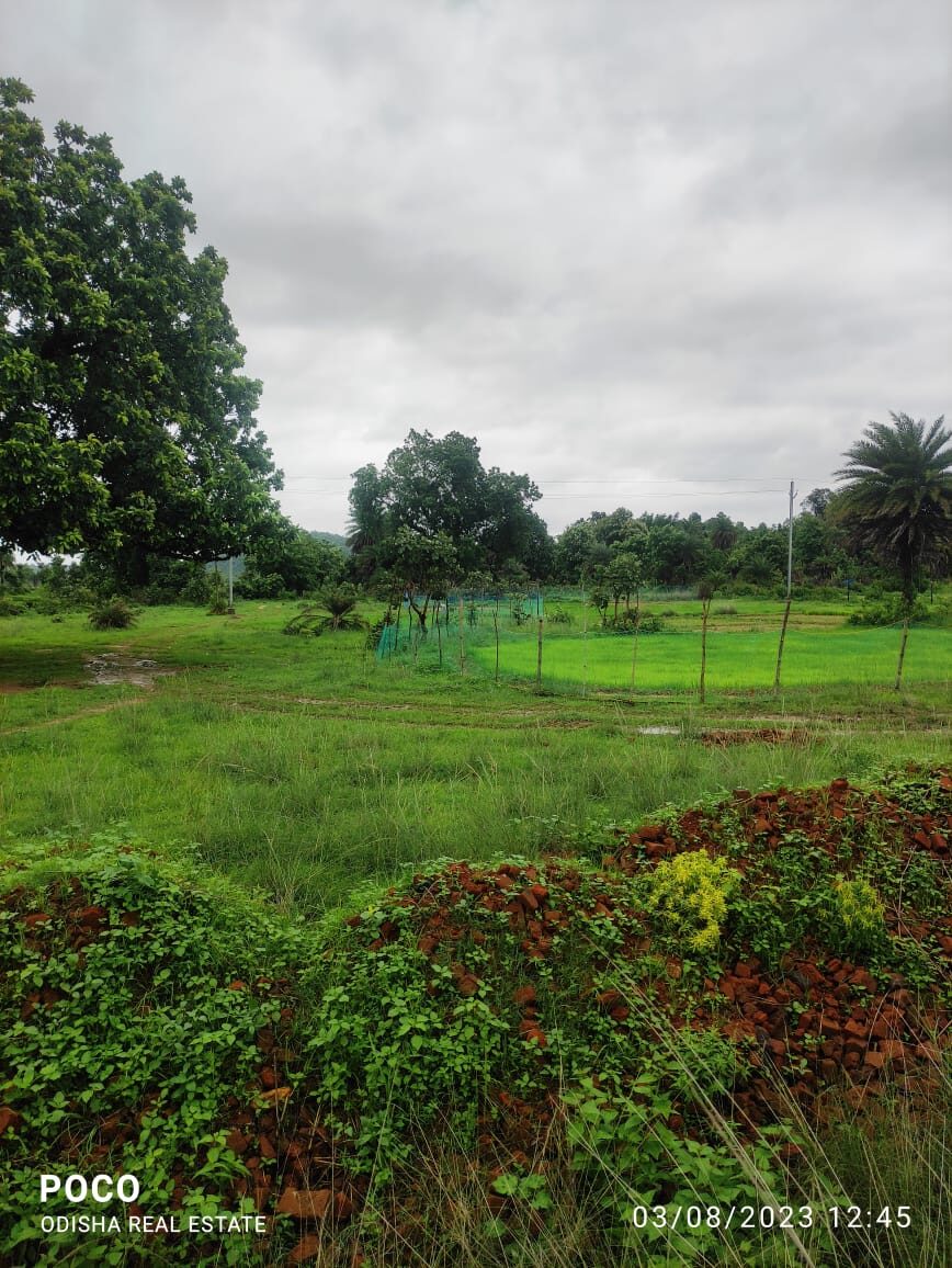 SC plot2 SC Plot for Sale
