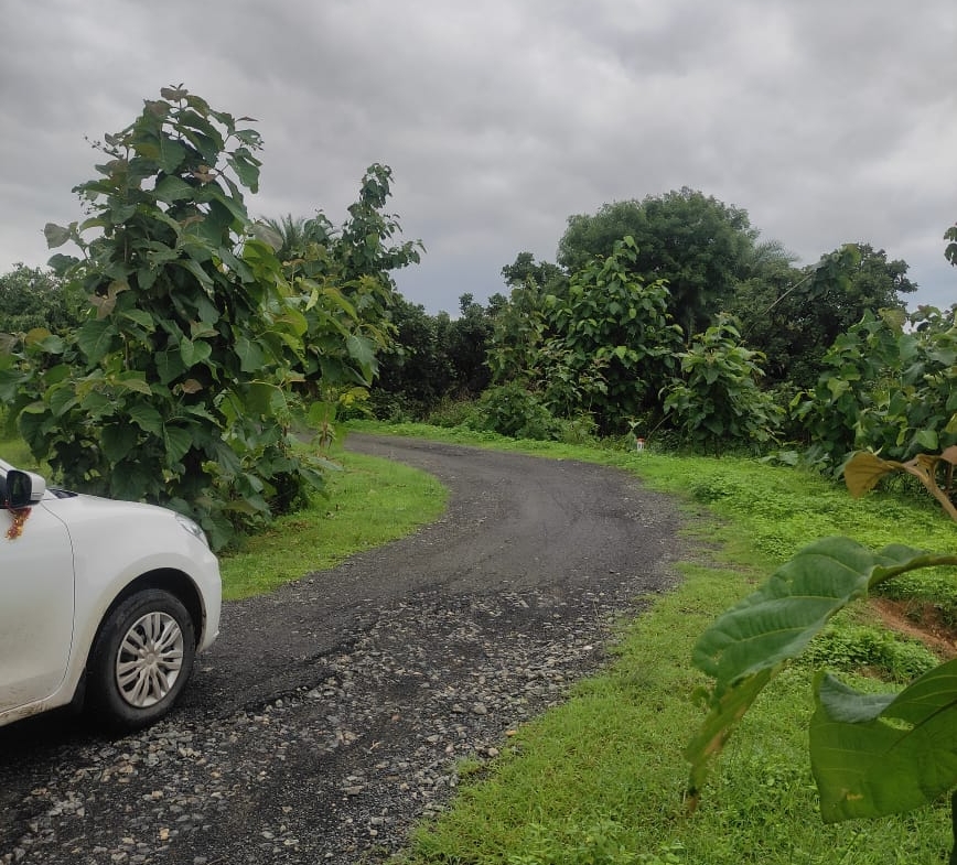 Plot for sale in Odisha
