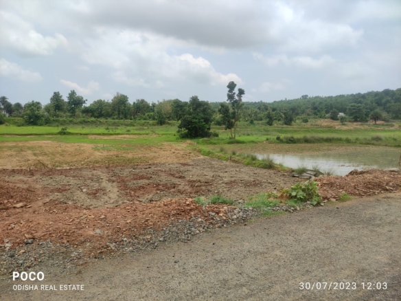 Plot for sale in Odisha