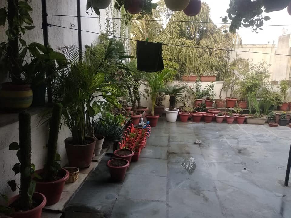 ONLY FOR GIRLS 1Bed 1Bath flat Fully Furnished in Saket, Delhi