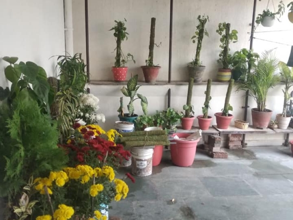 ONLY FOR GIRLS 1Bed 1Bath flat Fully Furnished in Saket, Delhi