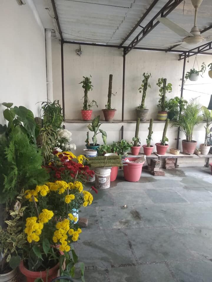 o9 ONLY FOR GIRLS 1Bed 1Bath flat Fully Furnished in Saket, Delhi