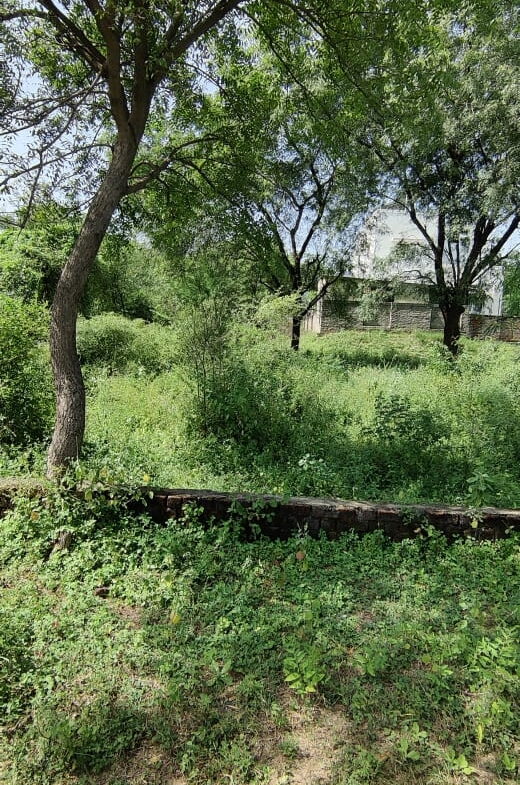 Land for sale in Ahmedabad.