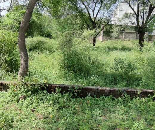 Land for sale in Ahmedabad.