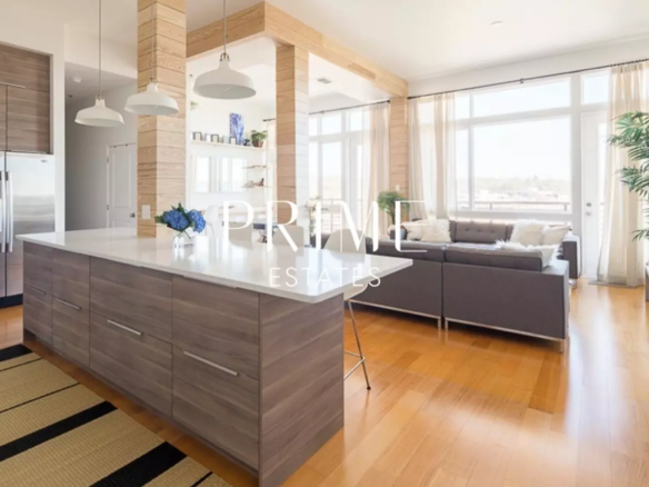 Duplex Penthouse Living room
