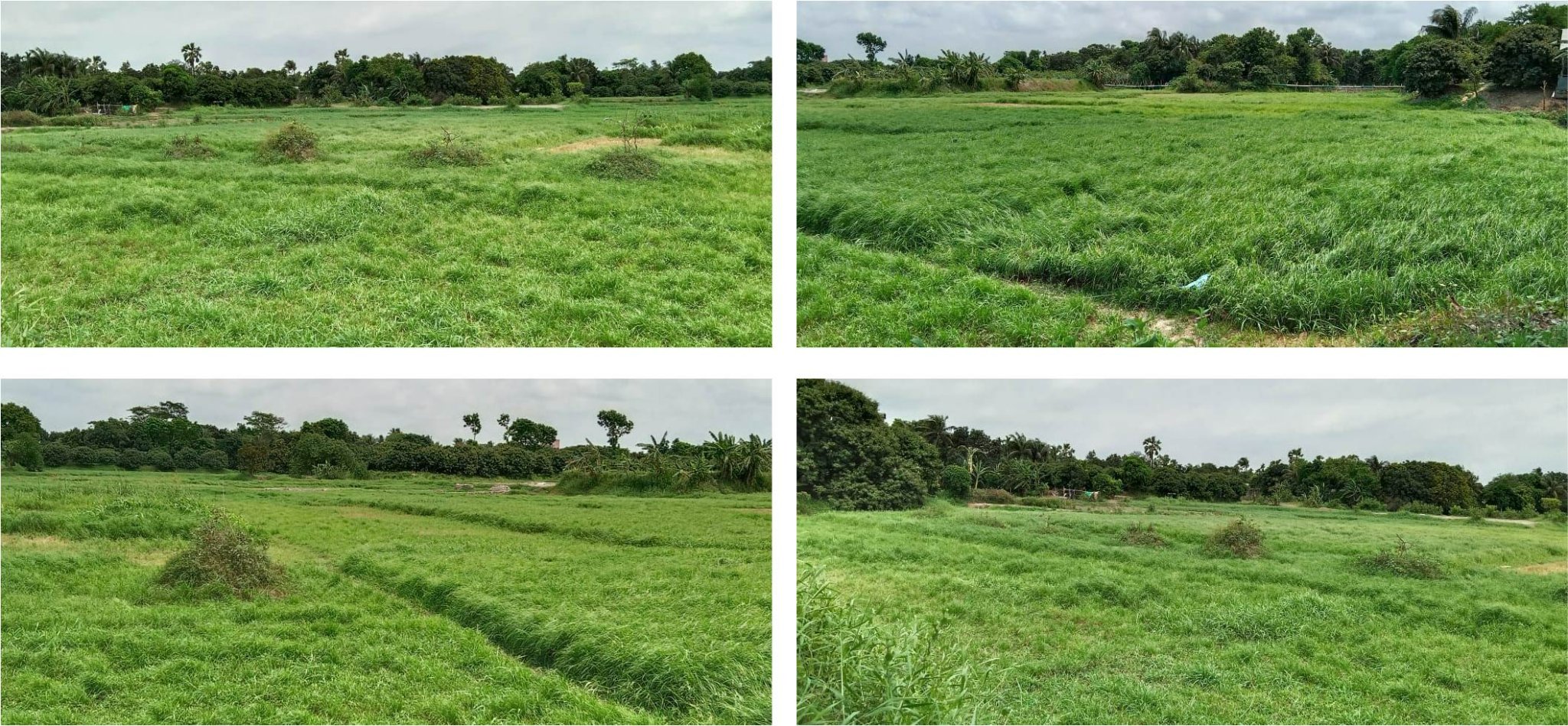 358446666_234552006178868_5270375876452651393_n