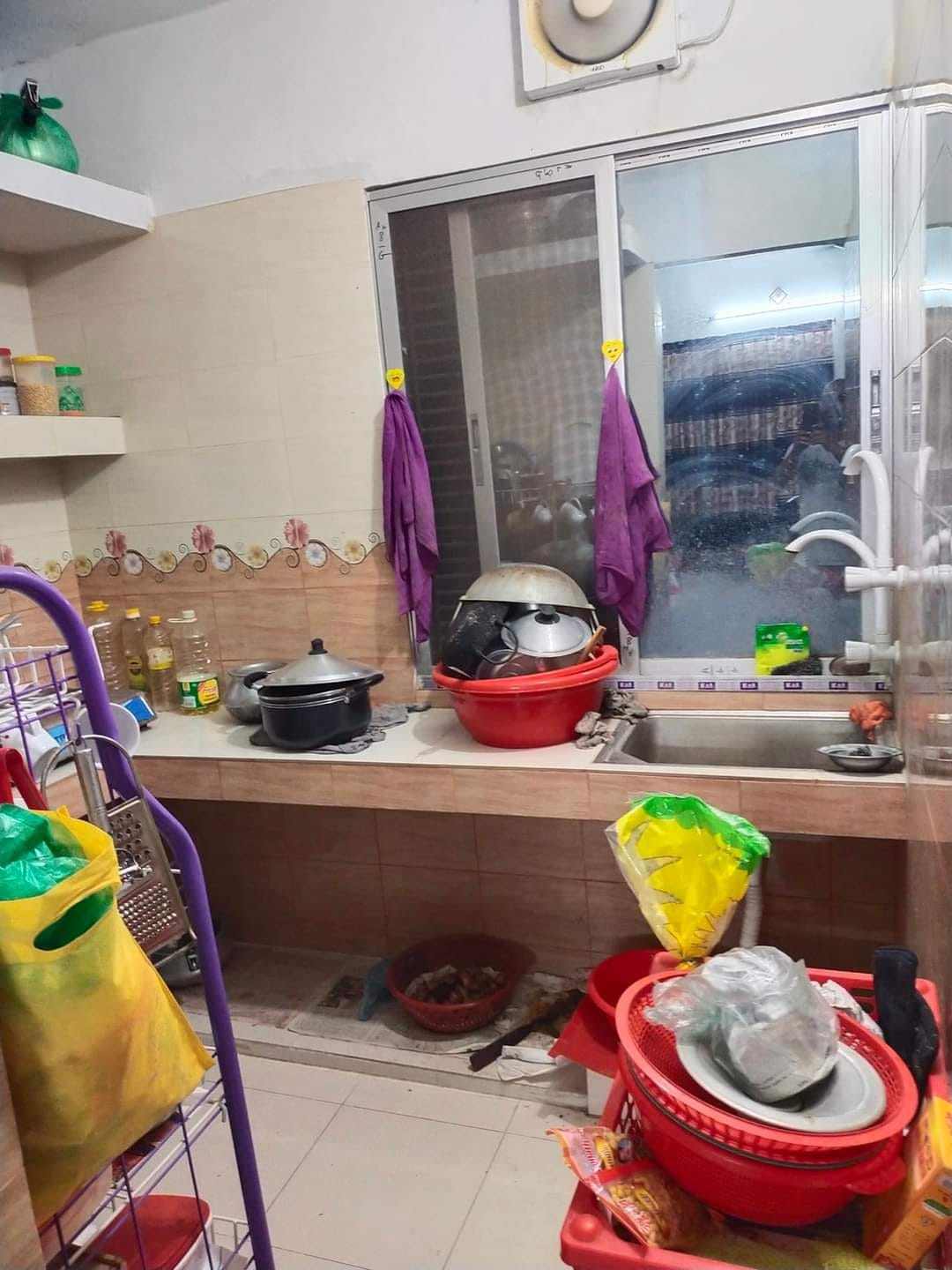 397571055_10225555064163670_7019992964521753768_n