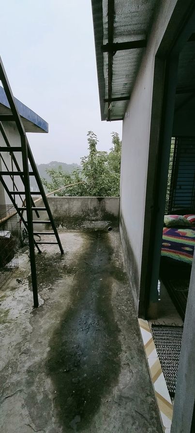 416137789_2138889716451020_7347846388891328088_n