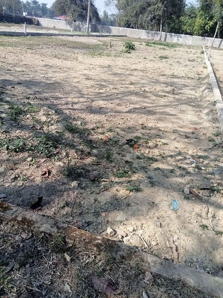 426830957_353871694131749_6025806183808549943_n