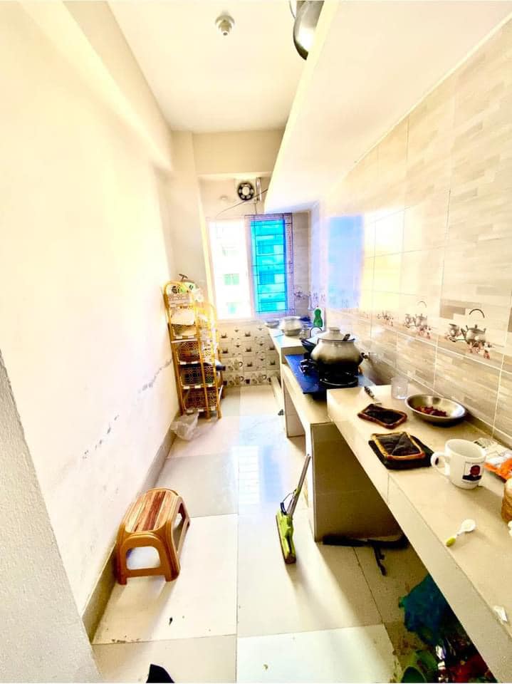 428610761_3392943904328827_1676561772103360880_n