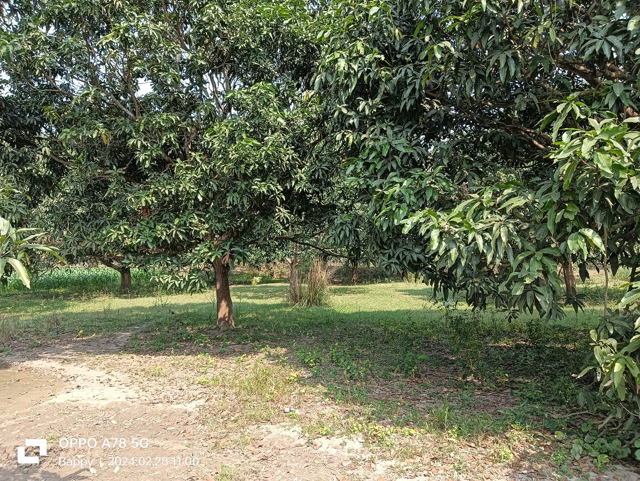 428702922_1156068388811134_4022695914160079101_n