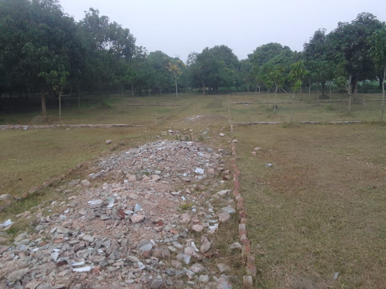 430706177_3619090528408419_5402243759692939806_n