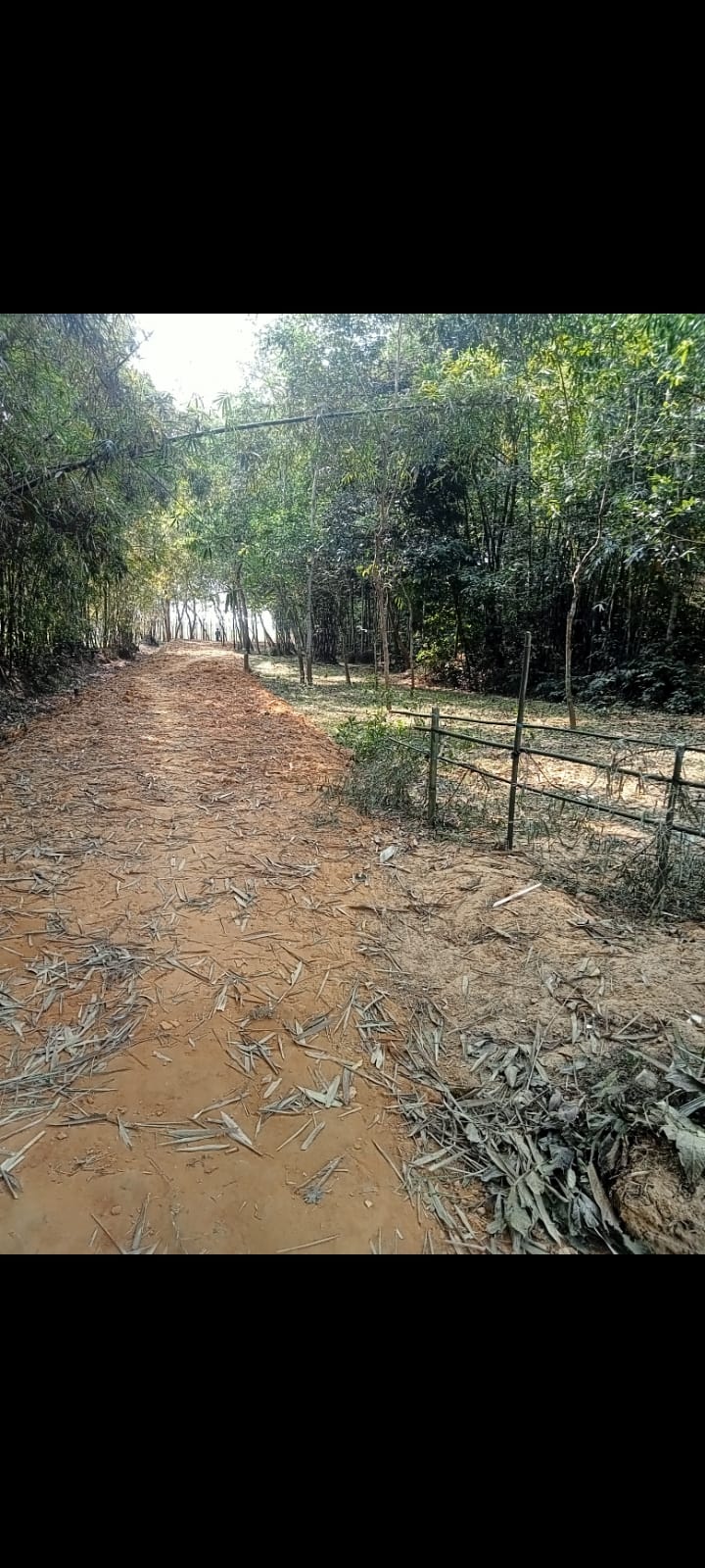 435792058_390989237086661_8732246813822270095_n