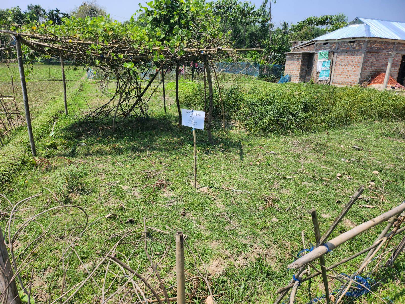 436228136_417541647640107_8905658844706068928_n