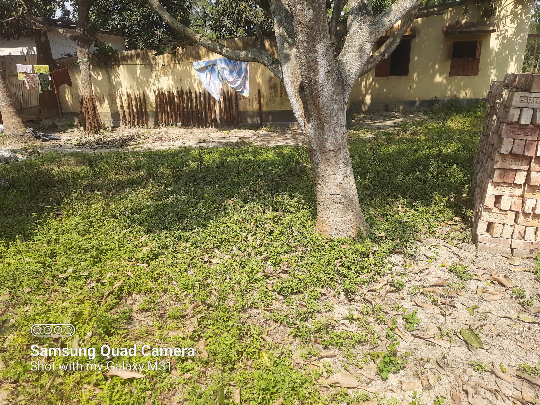 448194780_799737338917303_5457342103953677276_n