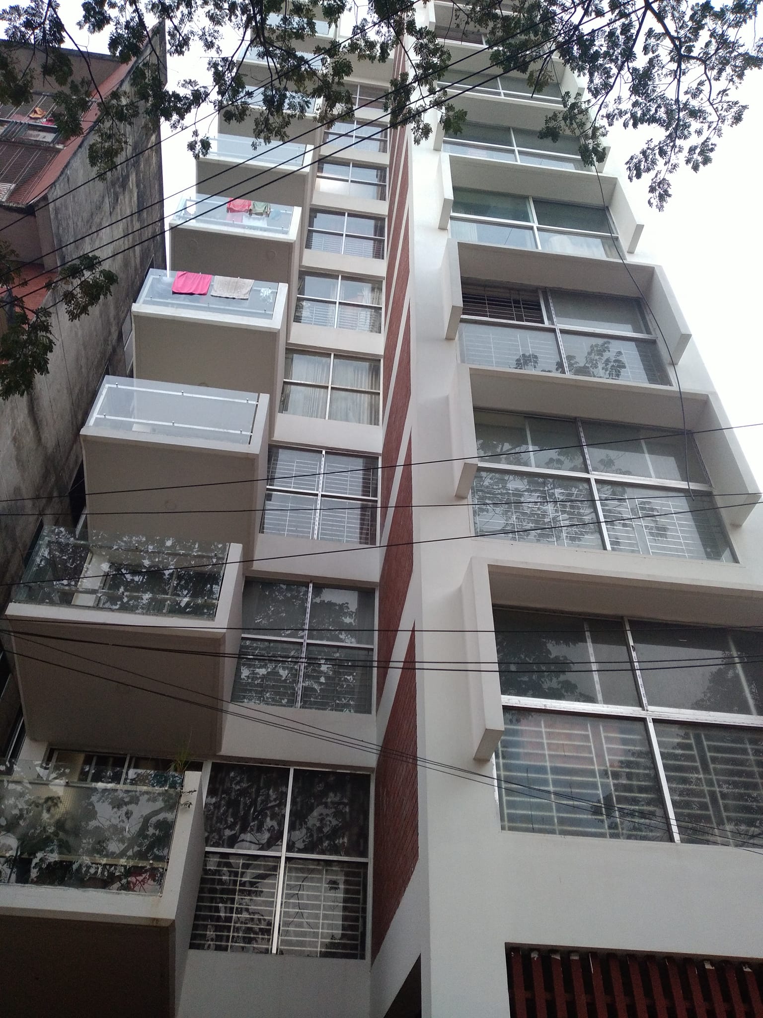 454969794_8039435282807860_7954273513974452943_n