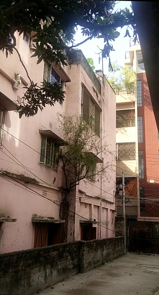 455345888_7852246558212907_2855106747971170312_n