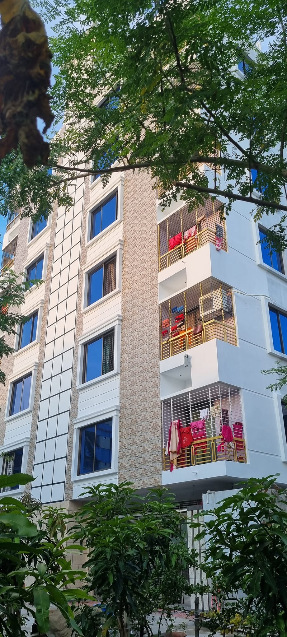 458119123_3797234037186771_44196162154841179_n