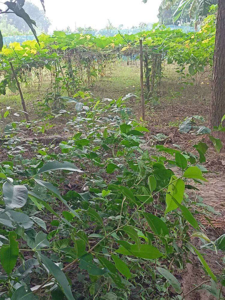 471978247_2125589847859862_5140900058090172052_n