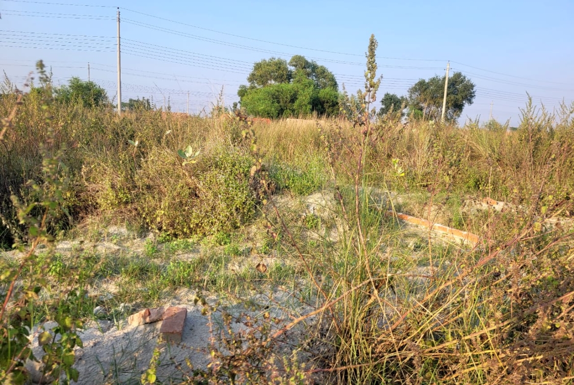 475167084_1140983014136257_2815968503380890244_n