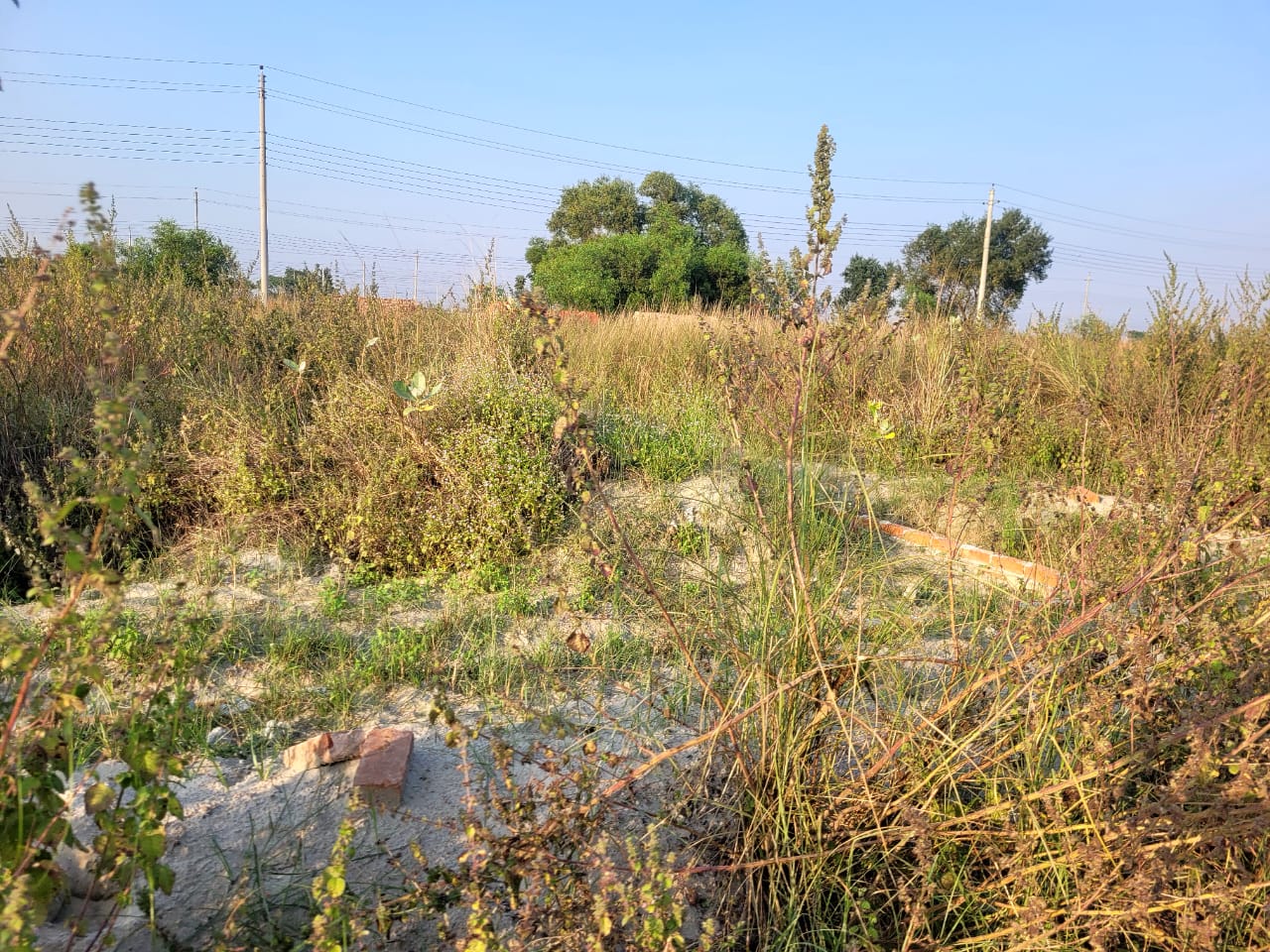 475167084_1140983014136257_2815968503380890244_n