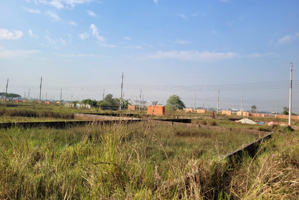 475847422_1140990514135507_7019056500474335074_n