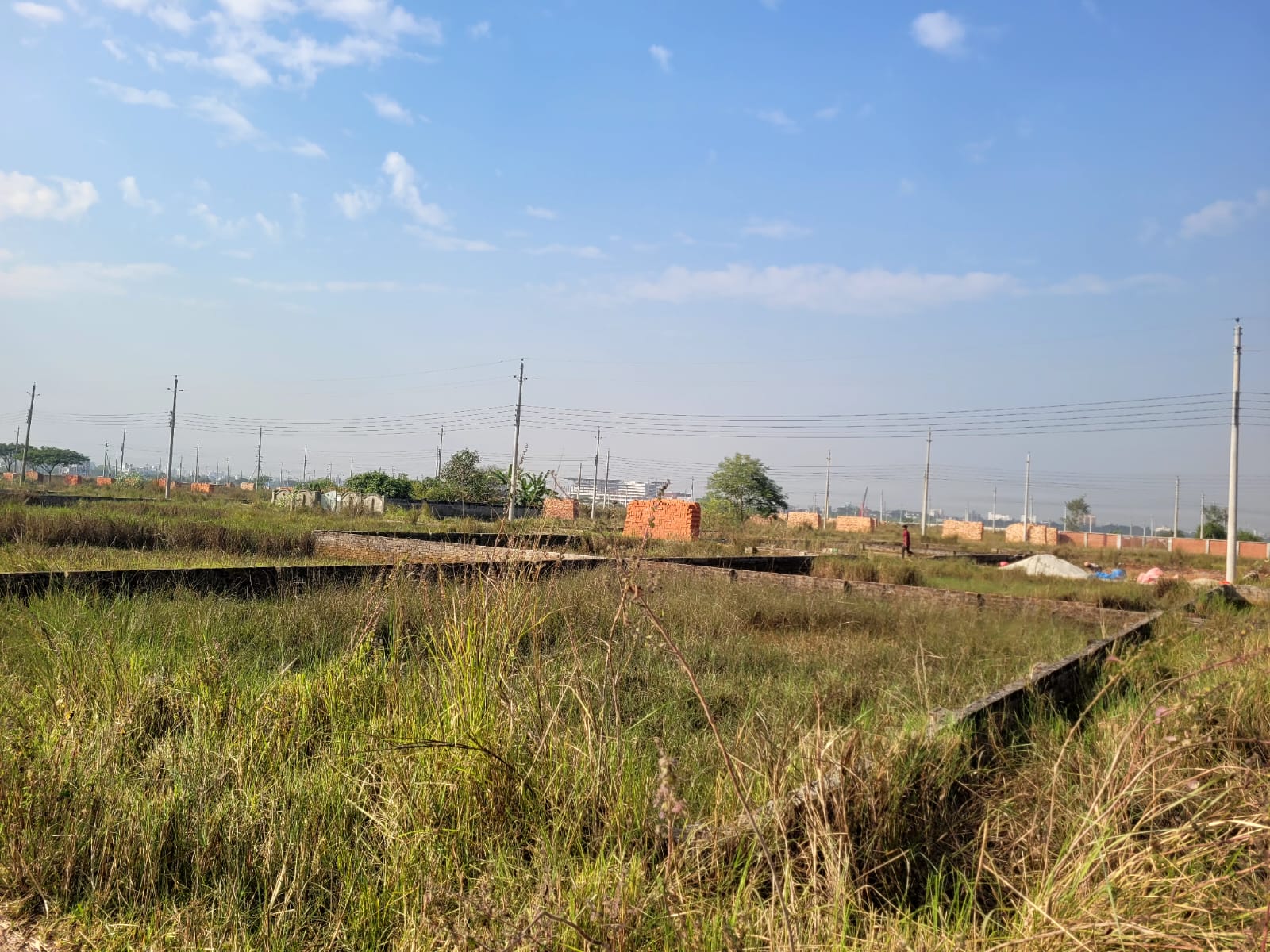 475847422_1140990514135507_7019056500474335074_n