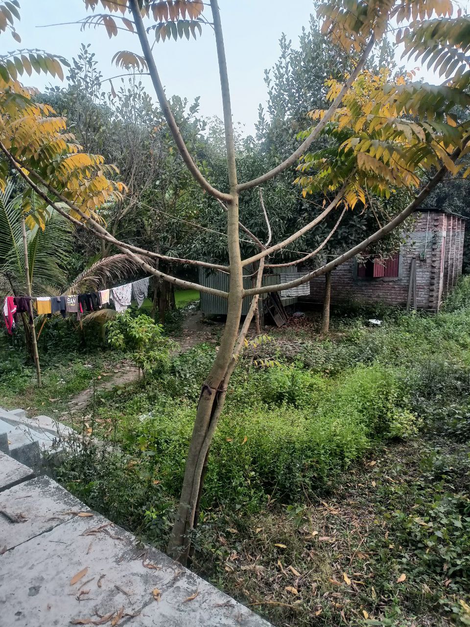 476333659_28251037557878122_1351807465963815427_n