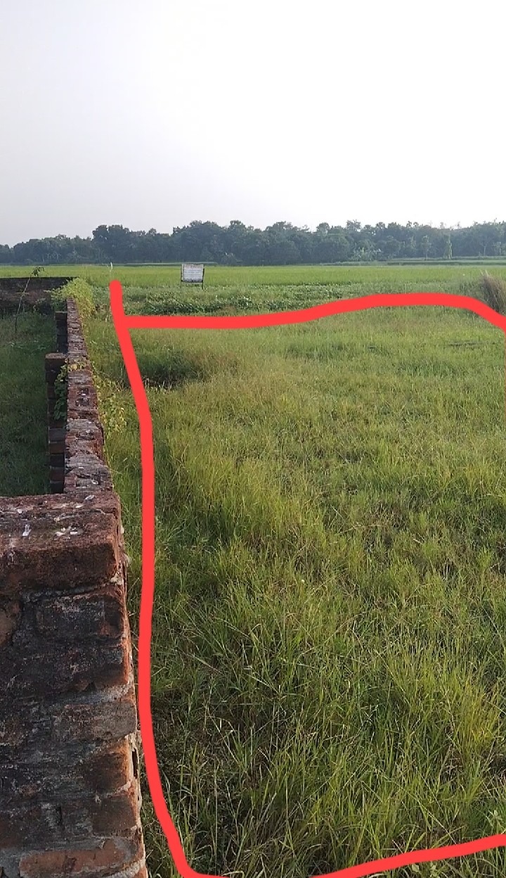 565635088_1382523186566366_4967511419141454791_n