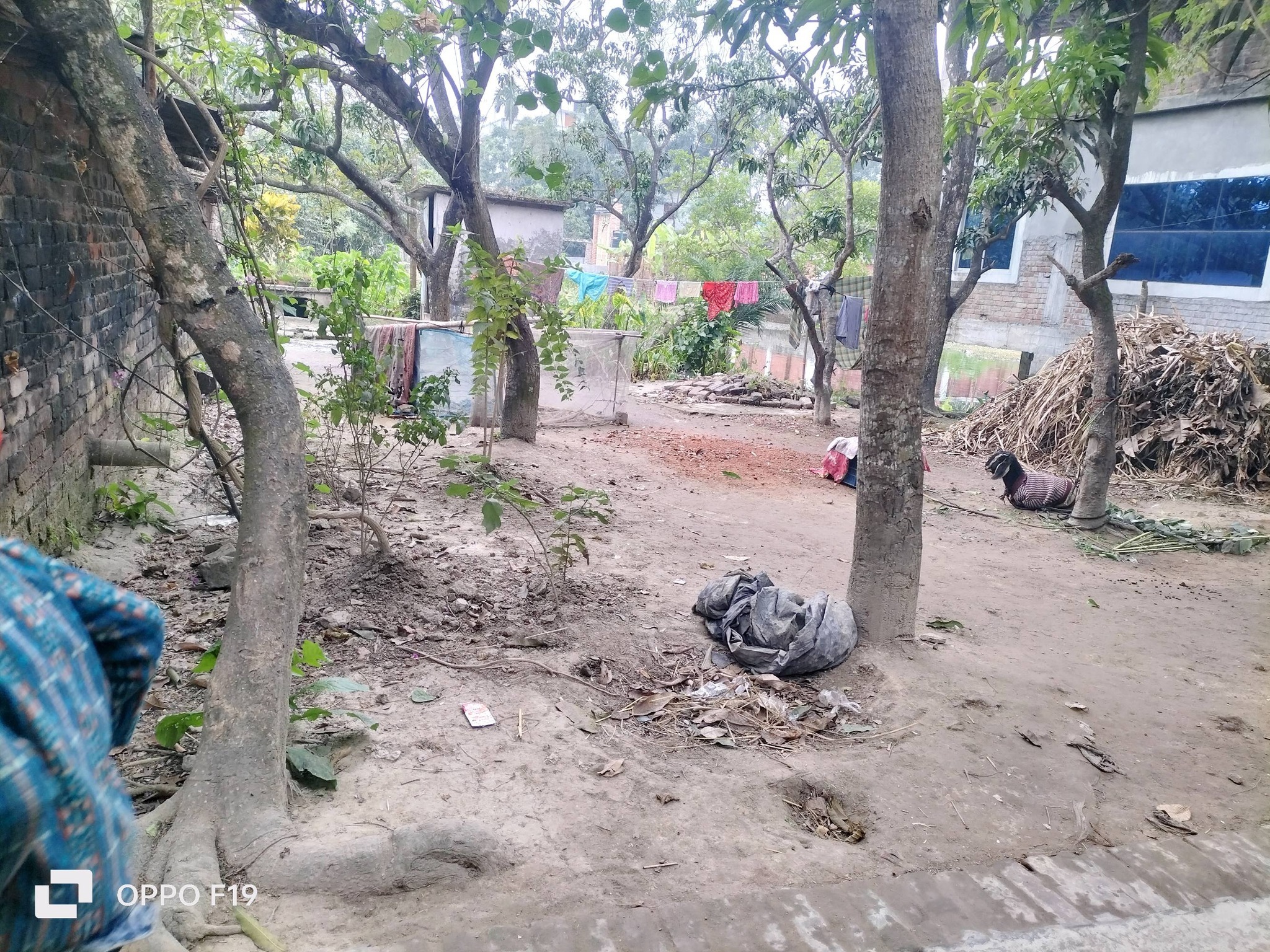 607643947_1608830730562033_4746136249020138800_n