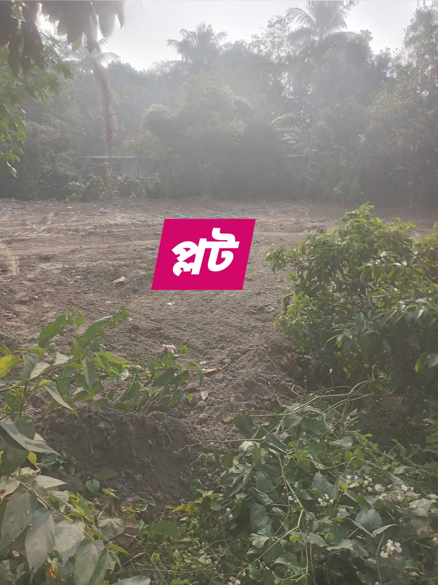 619605032_3101723056679409_3996337065914740234_n