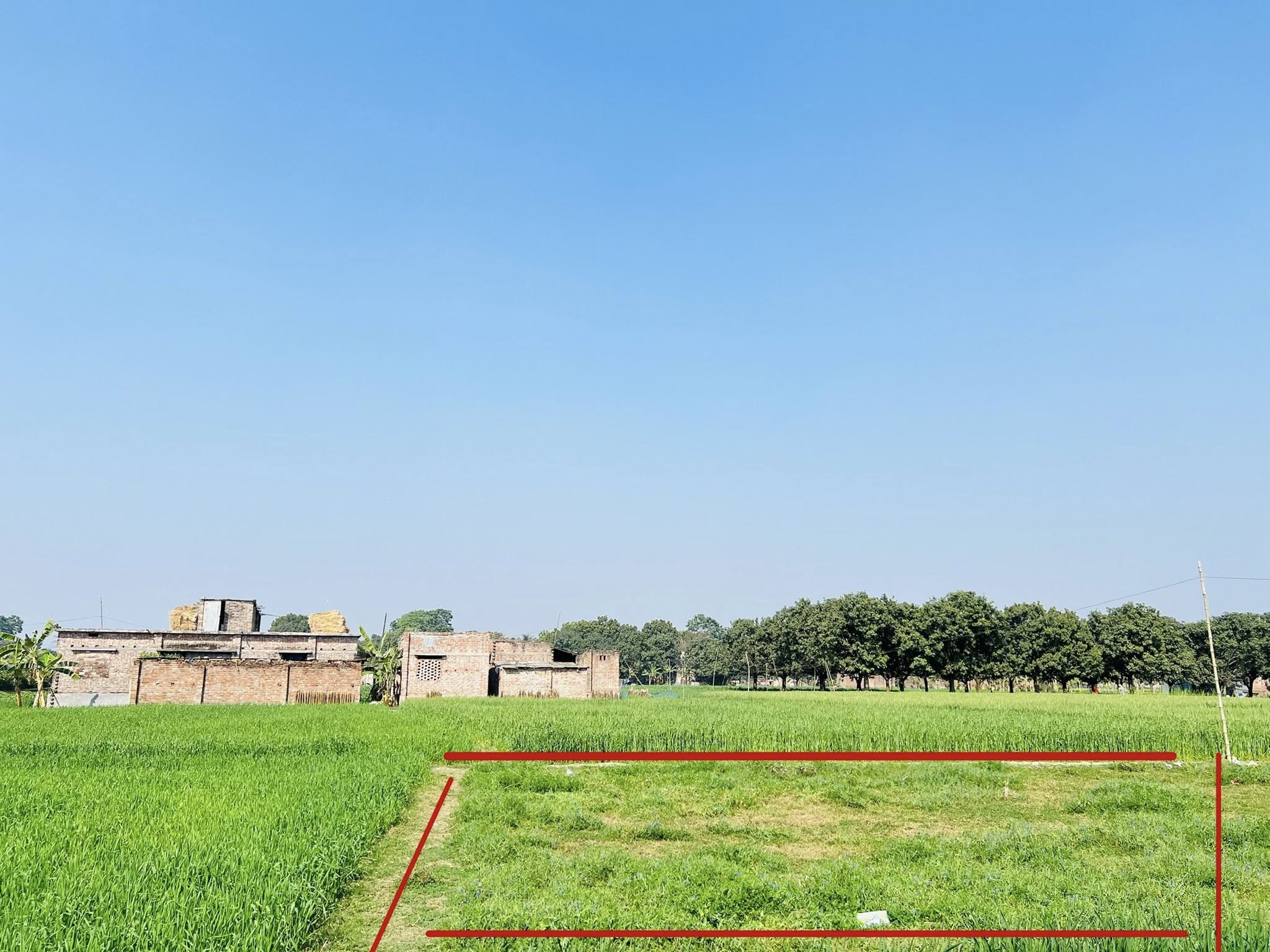 641236329_1436374747898247_5268143687492230134_n