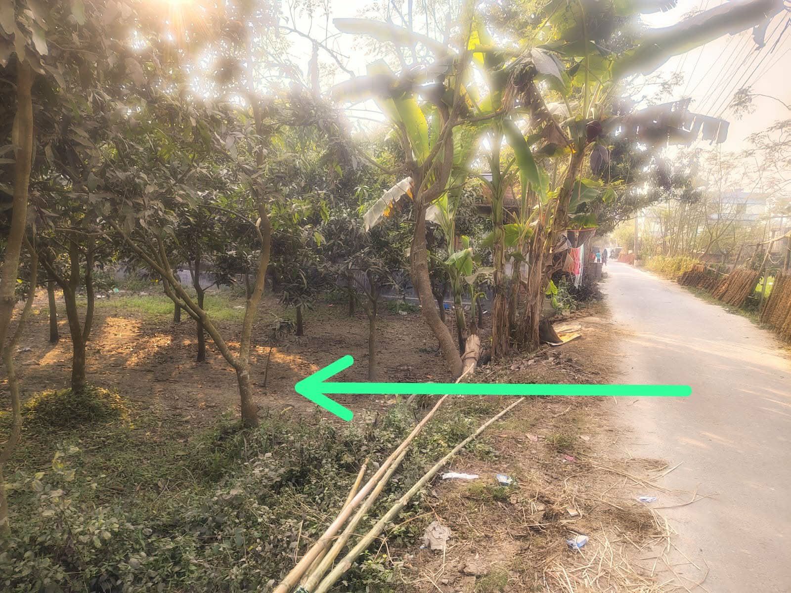 643904672_1687624892221872_414101936448880411_n