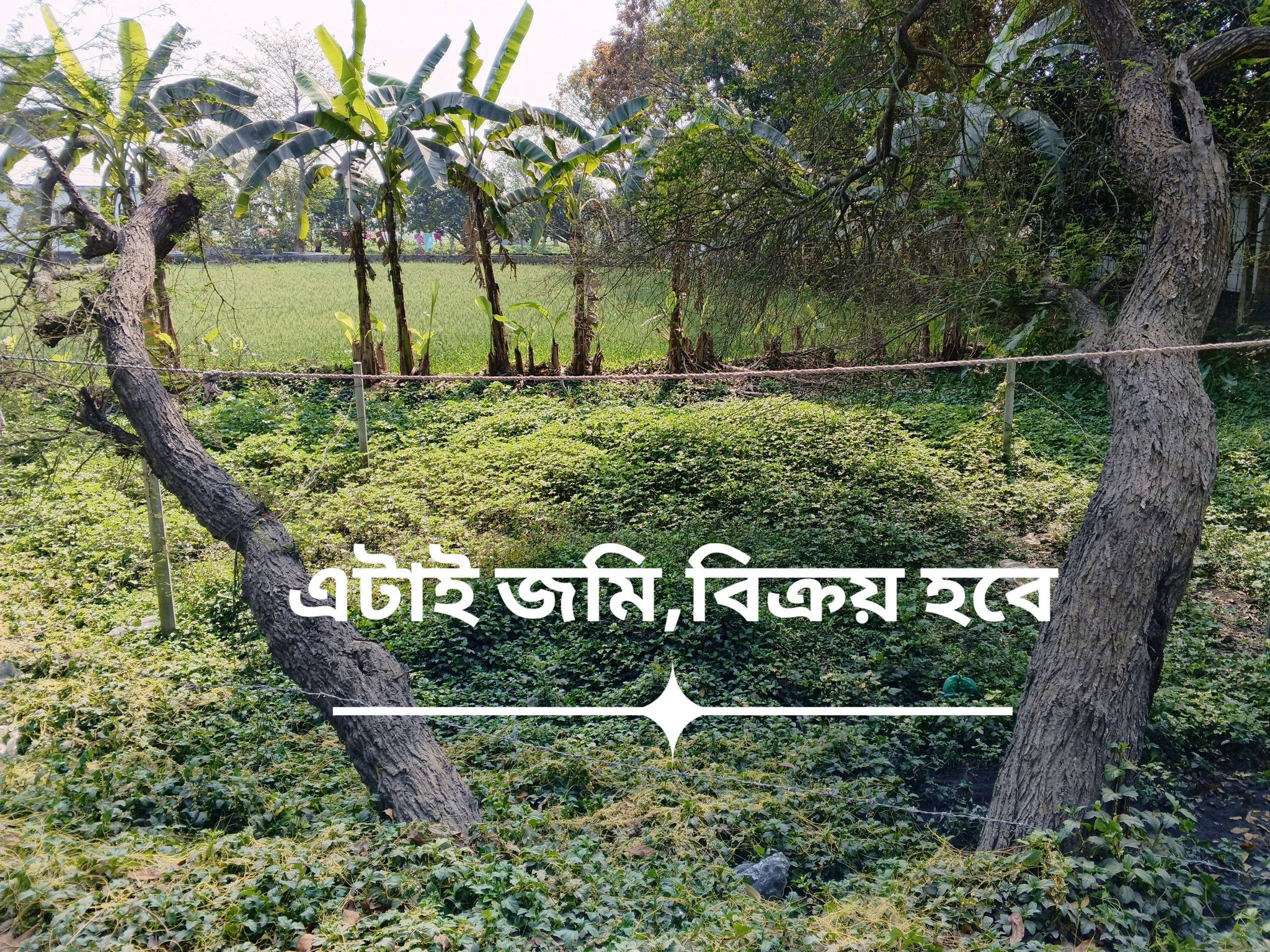 644469754_4276274789281191_8991811231513048291_n